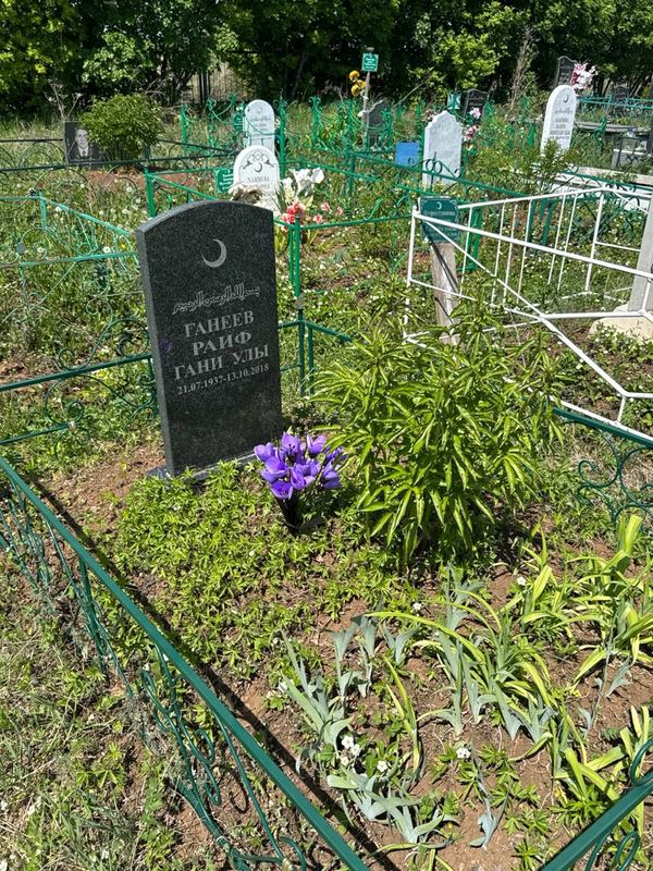 Фото надгробия: Ганеев Раиф Ганиевич