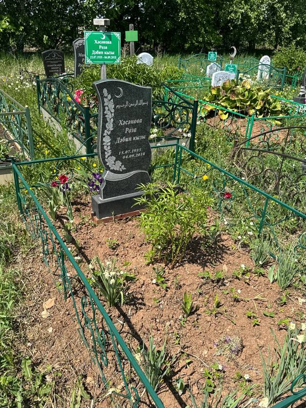 Фото надгробия: Хасанова Роза Дабиповна