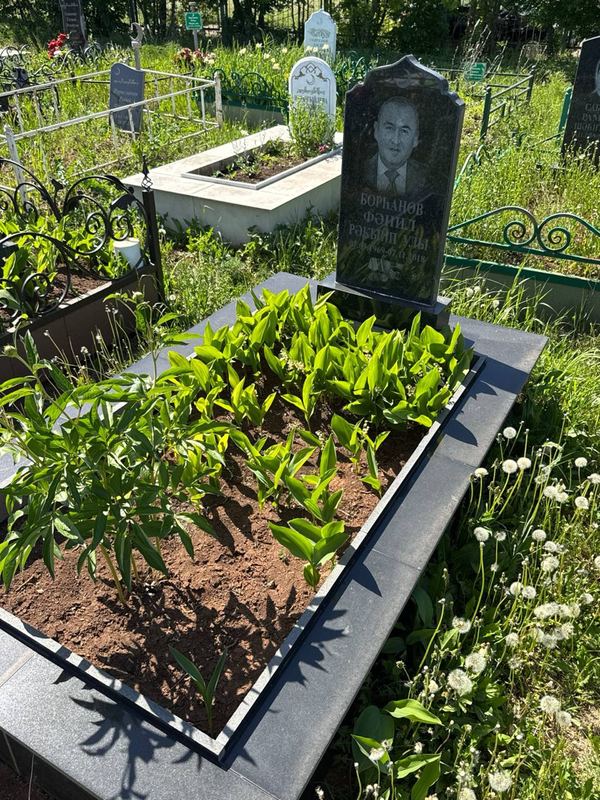 Фото надгробия: Бурханов Фаниль Ракипович