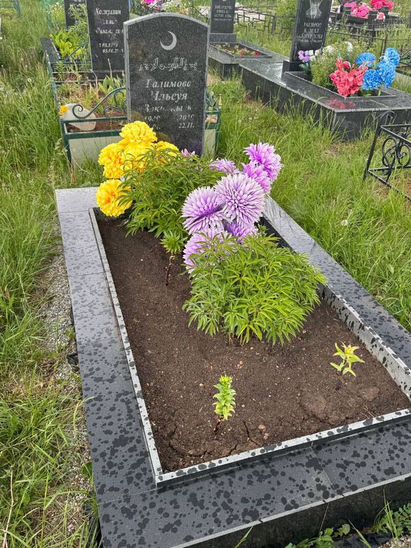 Фото надгробия: Галимова Ильсуя Закиевна