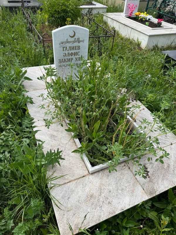 Фото надгробия: Галиев Альфис Закирович