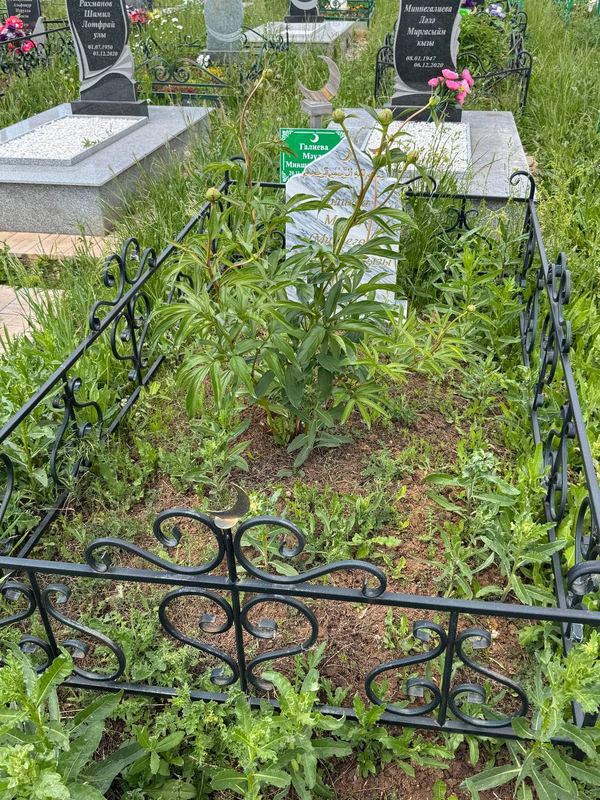 Фото надгробия: Галиева Мауля Миншариповна
