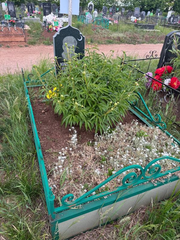 Фото надгробия: Миннеяров Динарис Фаритович