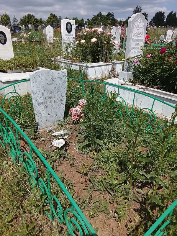 Фото надгробия: Алмиева Альфия Рафиковна