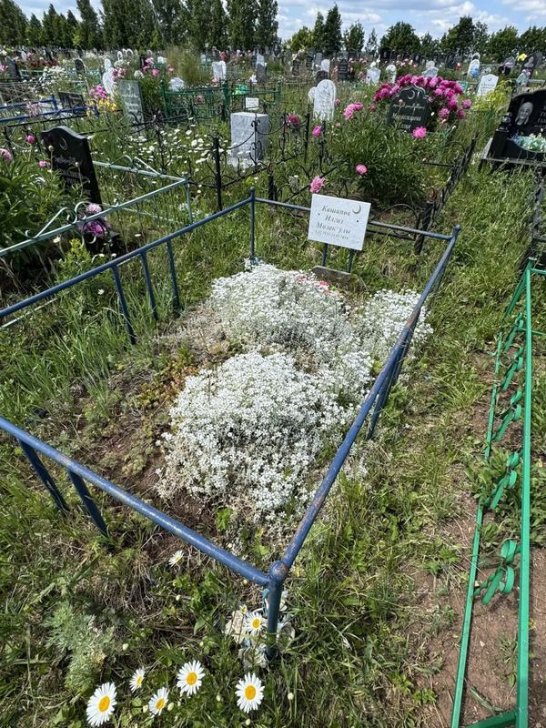 Фото надгробия: Кашапов Ильгиз Мулекович