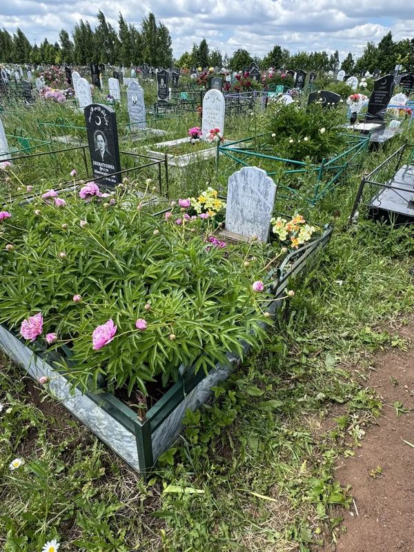 Фото надгробия: Латыпов Зуфар Ахметлатыпович
