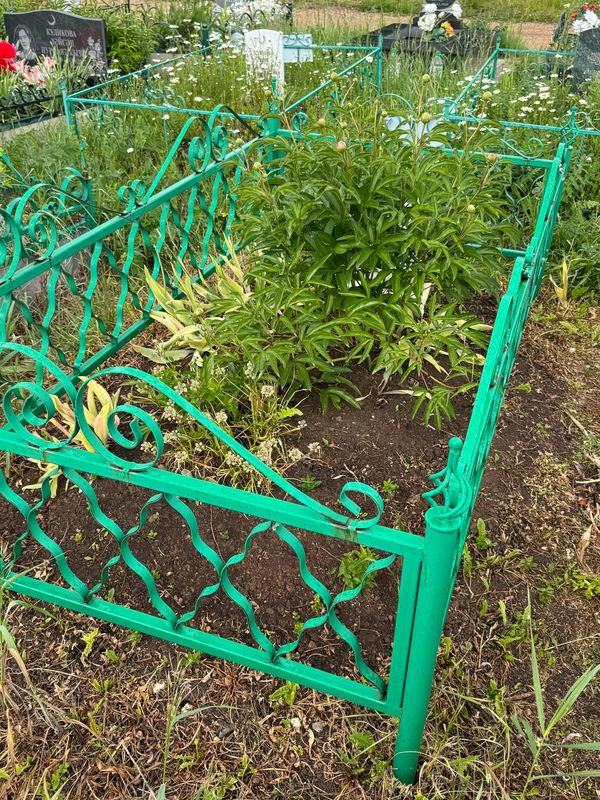 Фото надгробия: Бадретдинова Фания Джаляевна