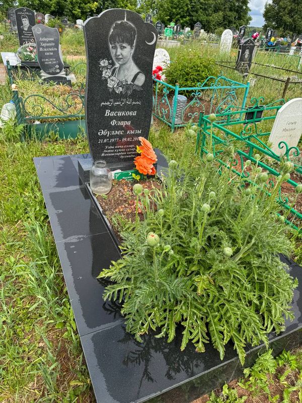 Фото надгробия: Васикова Флара Абулаесовна