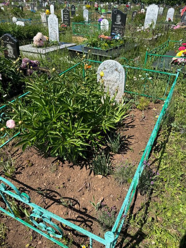 Фото надгробия: Фаррахов Ринат Минхажевич