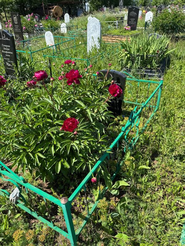 Фото надгробия: Галлямов Салават Джавдатович