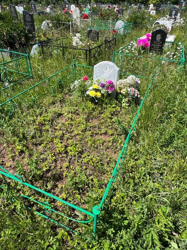 Фото надгробия: Тажиев Ильхам Мисбахович
