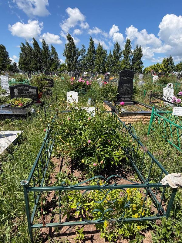 Фото надгробия: Гадиева Назиба Исмагиловна