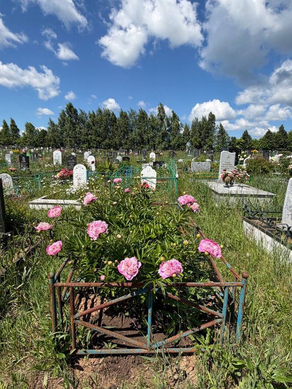Фото надгробия: Салахетдинова Минруда Лотфулловна