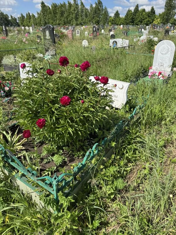 Фото надгробия: Загитов Рафис Загитович