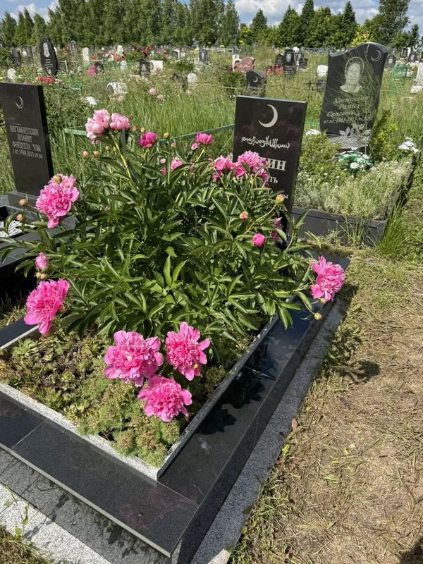 Фото надгробия: Сафин Сагит Калимуллович