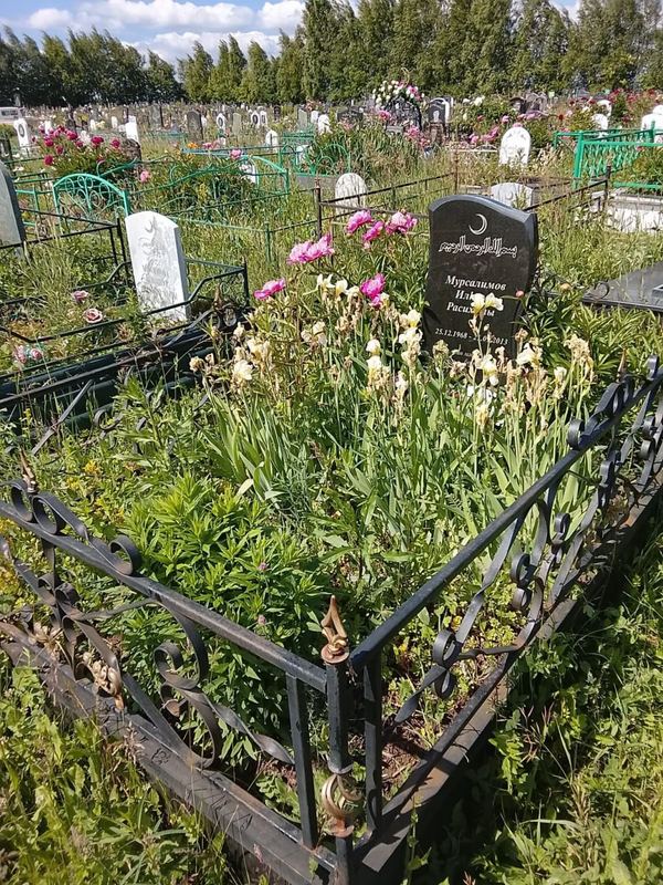 Фото надгробия: Мурсалимов Ильхам Расихович