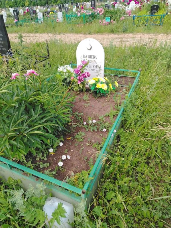 Фото надгробия: Валиева Дальфира Нургалиевна
