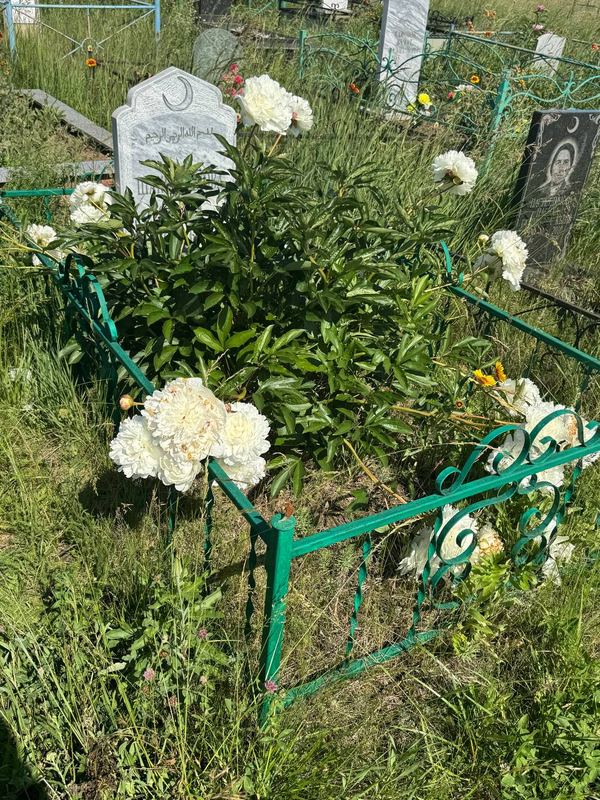 Фото надгробия: Шакирзянова Самига Гаязовна