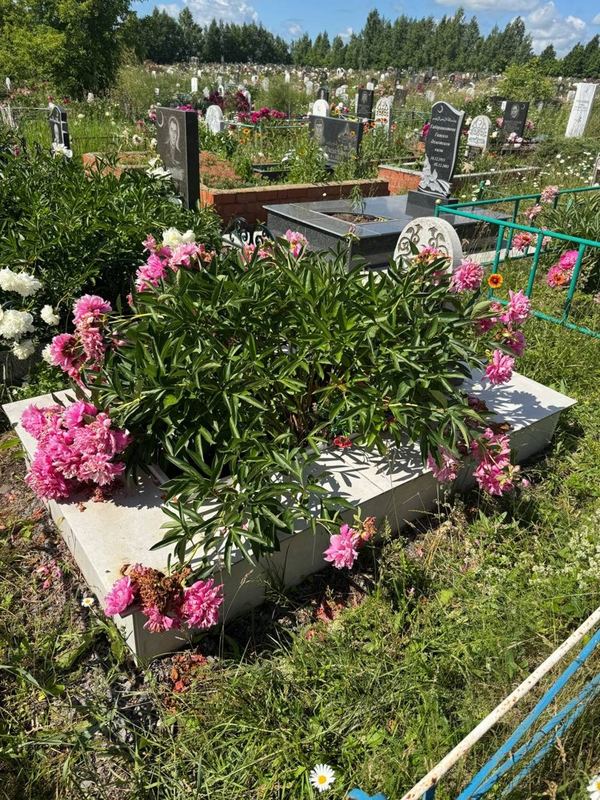 Фото надгробия: Абдуллина Тазкира Зиннуровна
