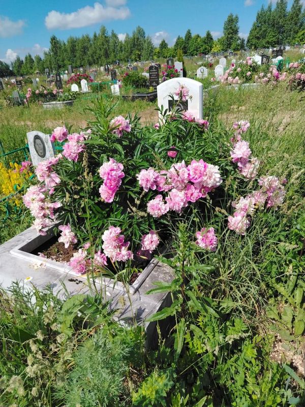 Фото надгробия: Галеев Борис Харисович