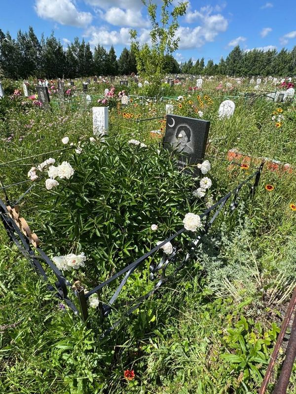 Фото надгробия: Раупова Сария Амировна