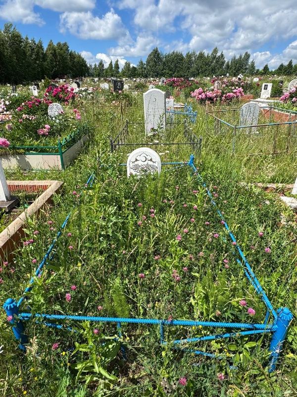 Фото надгробия: Миргазиянова Альбинур Бахтигареевна