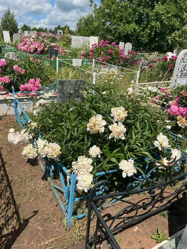 Фото надгробия: Хабипова Бибикамал Хабиповна