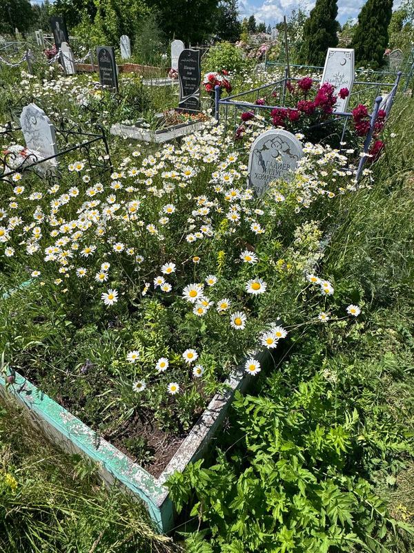Фото надгробия: Сагадиев Ильдус Хайретдинович