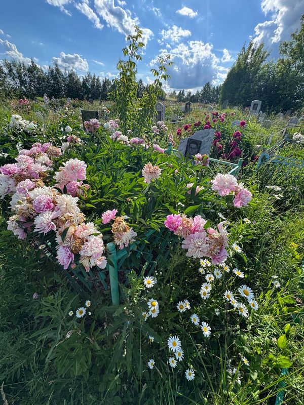Фото надгробия: Исхаков Насых Ажуатович