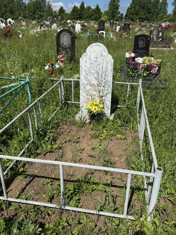 Фото надгробия: Габитов Ильгиз Хадиевич