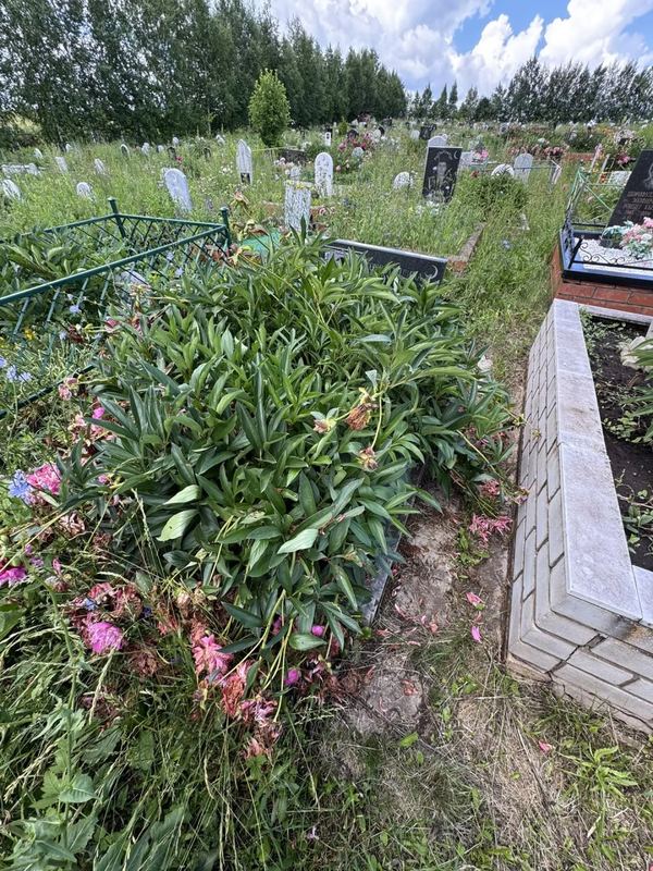Фото надгробия: Тухбатуллина Фаузия Мортазовна