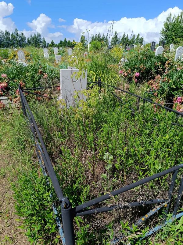 Фото надгробия: Минсафин Исхак Ибрагимович