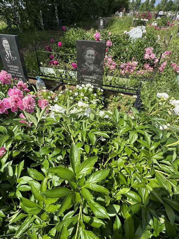 Фото надгробия: Хамзина Аниса Габбасовна