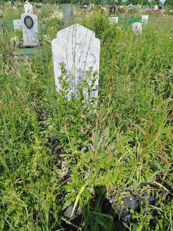 Фото надгробия: Хазиева Гульнара Нурисламовна