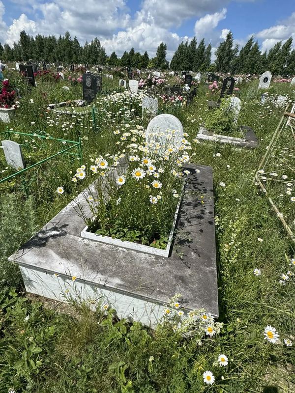 Фото надгробия: Салахов Фандус Садирович