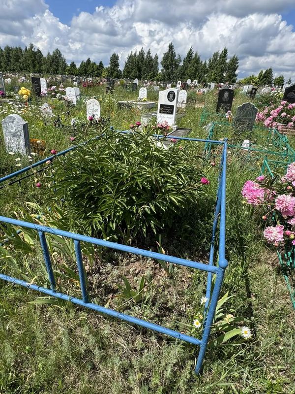Фото надгробия: Фардиев Гильметдин Хайретдинович