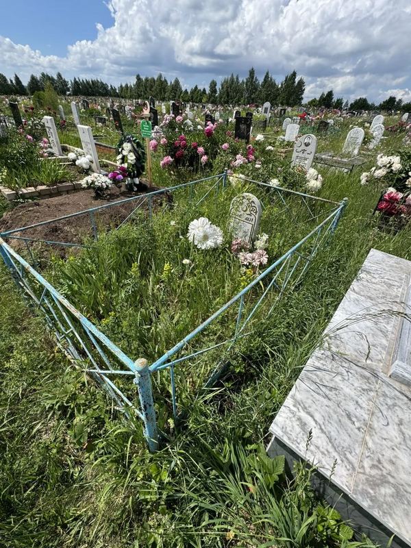 Фото надгробия: Миннегалима Зайнулловна