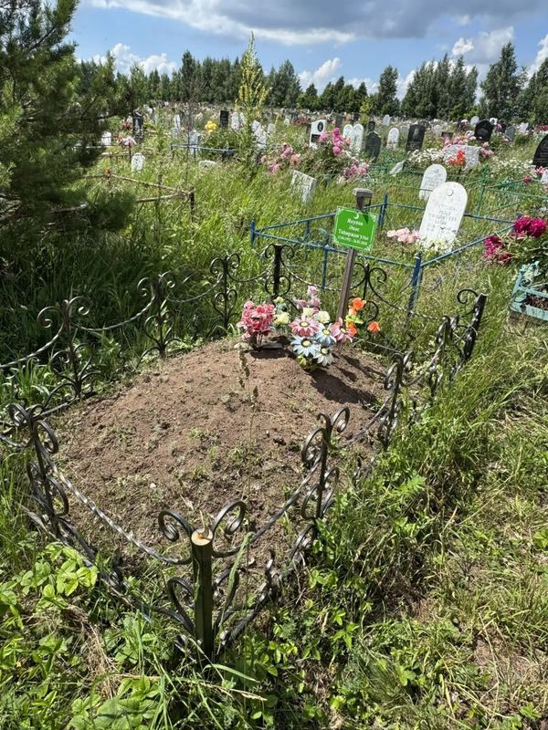 Фото надгробия: Якупов Анас Тагирзянович