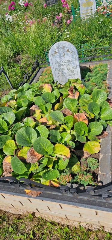 Фото надгробия: Салахова Фахима Гарифовна