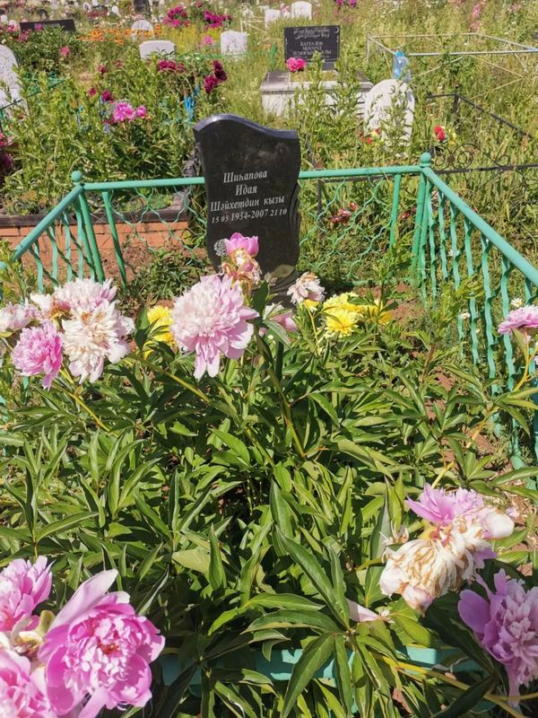 Фото надгробия: Шигапова Идая Шайхетдиновна
