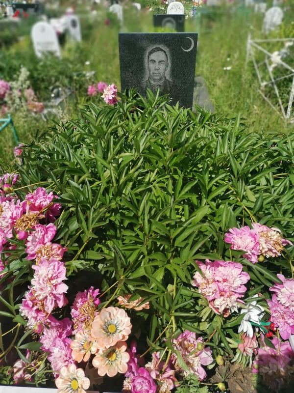 Фото надгробия: Мусин Ахтям Мусаевич