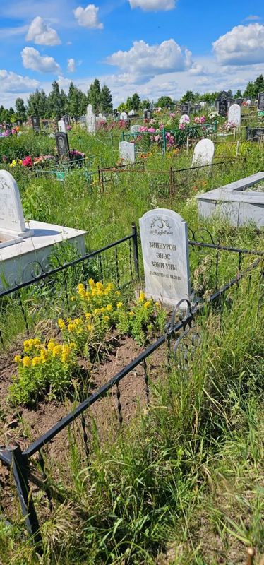 Фото надгробия: Зиннуров Анас Закиевич