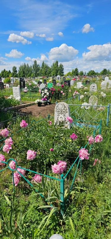 Фото надгробия: Миннегулов Рафис Камильевич