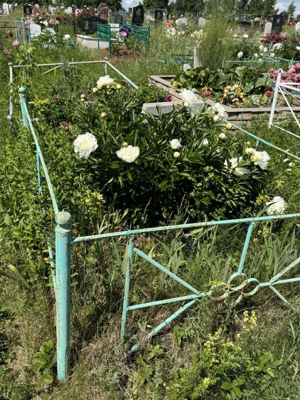 Фото надгробия: Сагадетдинова Минсафа Сагадетдиновна