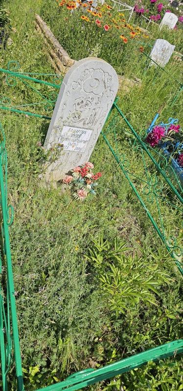 Фото надгробия: Башарова Иния Мухамметшариповна