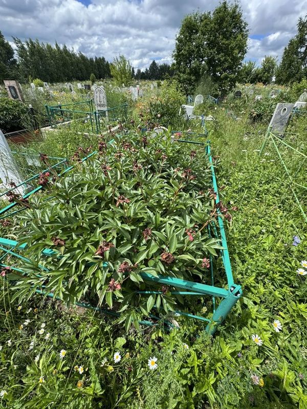 Фото надгробия: Загирова Сюмбиля Закиевна