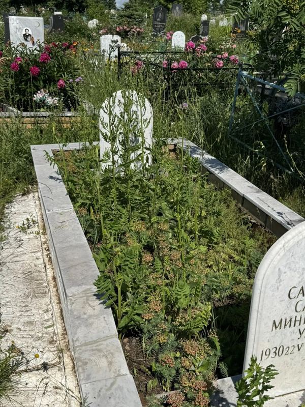 Фото надгробия: Сабирова Сагдуна Зиятдиновна