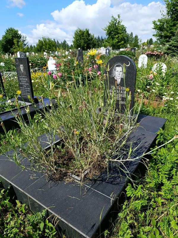 Фото надгробия: Галиев Минзакир Ахмадишевич