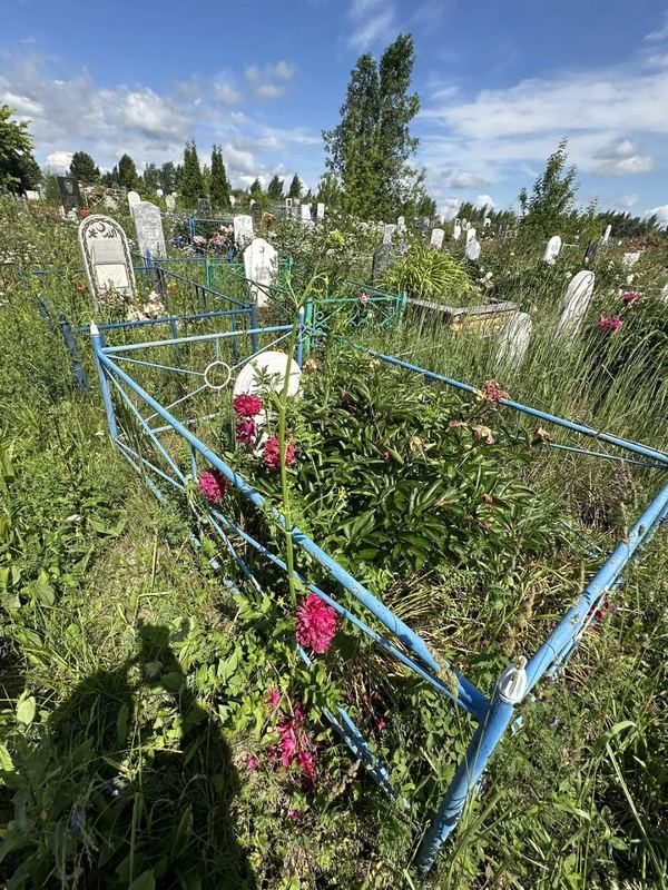 Фото надгробия: Губайдуллин Анфас Ибрагимович