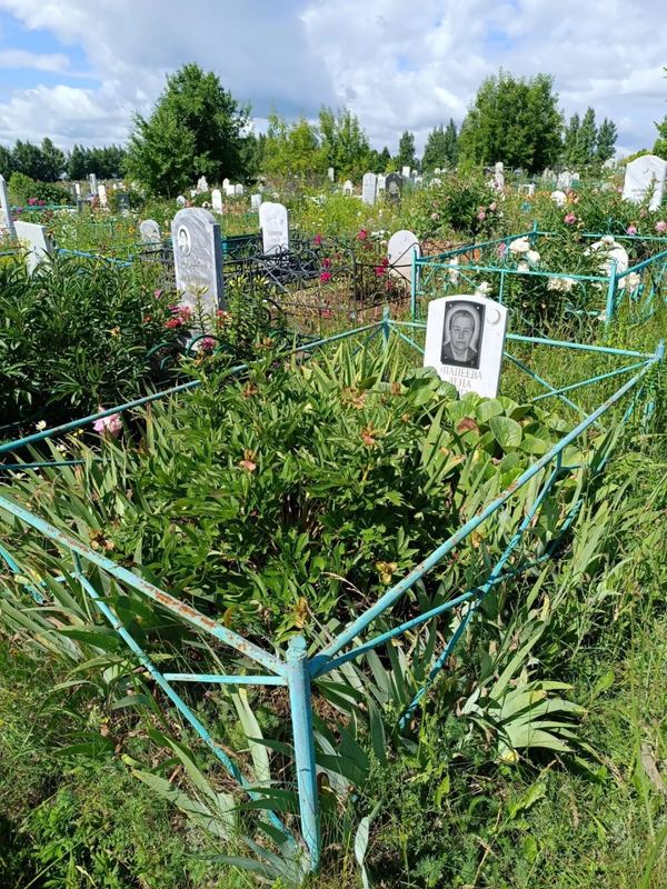 Фото надгробия: Шапеева Елена Мутыгулловна